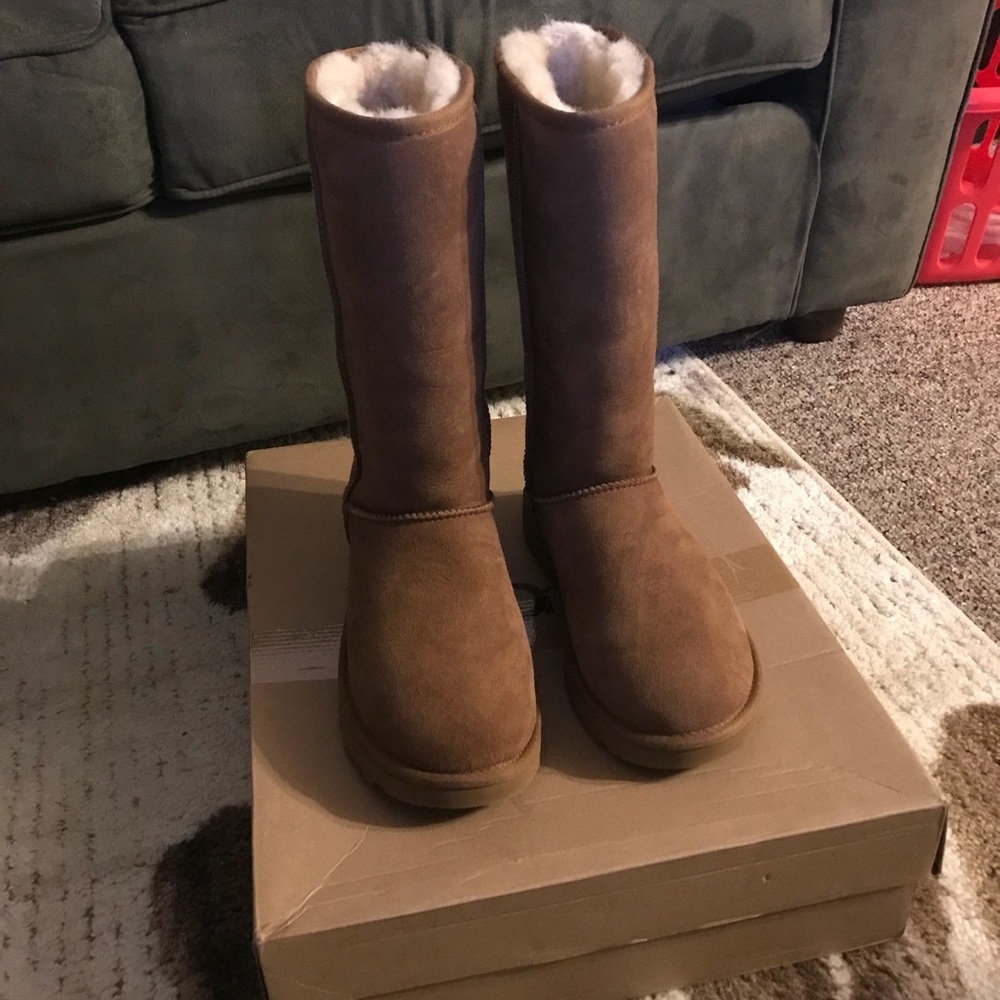 Brand new classic tall UGG chestnut 7